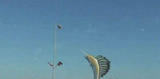 See where traffic fines reduced by 50 per cent in UAE