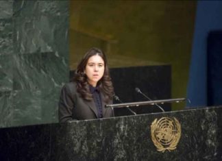 UAE elected VP for 72nd session of UN General Assembly