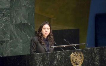UAE elected VP for 72nd session of UN General Assembly