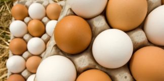 Egg scandal hits 17 countries