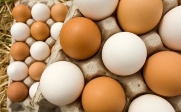 Egg scandal hits 17 countries