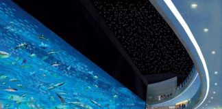 UAE announces free visa for select tourists this summer dubai acquarium