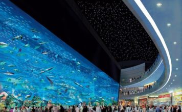 UAE announces free visa for select tourists this summer dubai acquarium