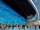 UAE population crosses 9 million mark dubai acquarium