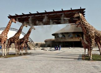 Dubai Safari opens doors with free entry for all Dubai Safari Park hosts 290,000 visitors in 3 months
