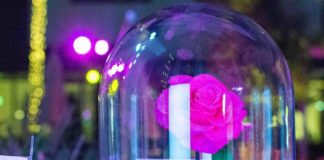 UAE consumers pick 2XL as their favourite interiors brand for home accessories