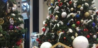 Zulekha hospital helps Indian expat to regain normal life after suffering with Systemic Lupus Erythematosus