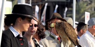 The 4th International Festival of Falconry inaugurated in Dubai