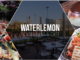 Waterlemon Restaurant and Café adds a healthy and creative food concept to Dubai gastronomical landscape