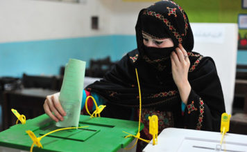 Overseas Pakistanis to vote in 2018 elections, confirms NADRA