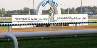Horse racing fans await DP World’s $6m Dubai Turf