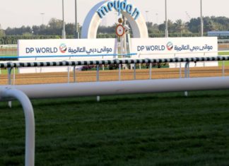 Horse racing fans await DP World’s $6m Dubai Turf