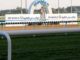 Horse racing fans await DP World’s $6m Dubai Turf