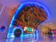 Emaar’s VR Park at The Dubai Mall opens doors for #challengReality