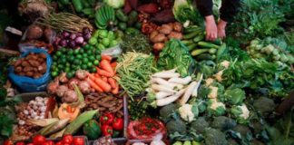 UAE bans fresh fruits, vegetables from Kerala after Nipah outbreak