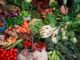 UAE bans fresh fruits, vegetables from Kerala after Nipah outbreak