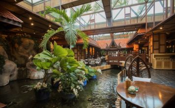 Thailand’s Bambooda is back in Roda Al Bustan