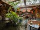 Thailand’s Bambooda is back in Roda Al Bustan