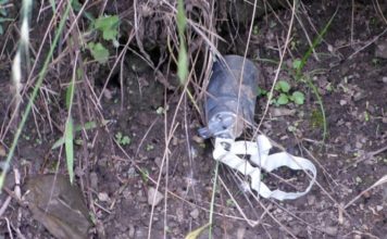 Indian army used cluster ammunition along LoC in violation of international laws: Pakistan