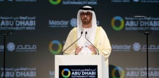 UAE to double renewable energy portfolio in next 10 years
