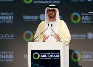 UAE to double renewable energy portfolio in next 10 years