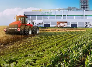 UAE, Egypt joint venture to set up $1billion sugar refinery project Canal Sugar Egypt UAE
