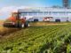 UAE, Egypt joint venture to set up $1billion sugar refinery project Canal Sugar Egypt UAE