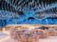 Le Mariage creates unbelievable wedding experiences Le Mariage