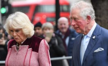 Coronavirus: Britain’s Prince Charles tests positive Prince Charles Camilla