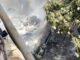 PIA plane crash in Karachi: Initial report finds human error PIA plane crash