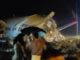 Flight from Dubai crash-landed in Kerala Air India flight crash landed