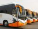 Sharjah to restart bus service Sharjah bus service
