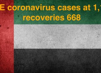 UAE coronavirus cases at 1,146, recoveries 668 UAE coronavirus cases