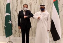 UAE visa restrictions for Pakistanis 'temporary': Emirati FM