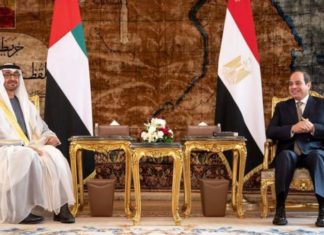 Sheikh Mohamed bin Zayed reaches Egypt, meet Egyptian president Al Sisi Sheikh Mohamed bin Zayed lands in Egypt