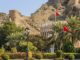 Oman puts travel ban on India, Pakistan, Bangladesh Oman puts travel ban on India, Pakistan, Bangladesh