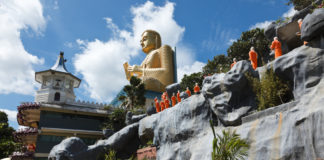 Flydubai resumes flights to Colombo with a twice-weekly service Flydubai resumes flights to Columbo Sri Lanka