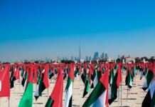 UAE Ministers announce the first set of “Projects of the 50”
