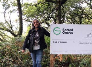 Save the planet on Valentine’s Day with eco-friendly gift: Sacred Groves Save the planet on Valentine’s Day with eco-friendly gift: Sacred Groves