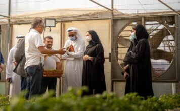 UAE minister visits advanced VeggiTech farm in Sharjah UAE minister hails advanced tech adoption at Sharjahâs VeggiTech