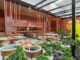 Tanuki introduces brunch menu for Japanese food lovers Japanese restaurant Tanuki unveils special campaign to woo students