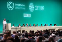 COP28 UAE: $240m pledged for ‘Loss and Damage Fund’
