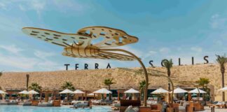 احتفلوا بالحب تحت سماء مرصّعة بالنجوم في تيرا سوليس في 14 فبراير احتفلوا بالحب تحت سماء مرصّعة بالنجوم في تيرا سوليس في 14 فبراير