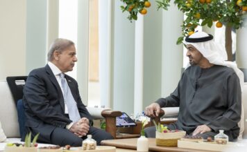 UAE commits $10bn investment in Pakistan UAE president commits to investing $10bn in Pakistan